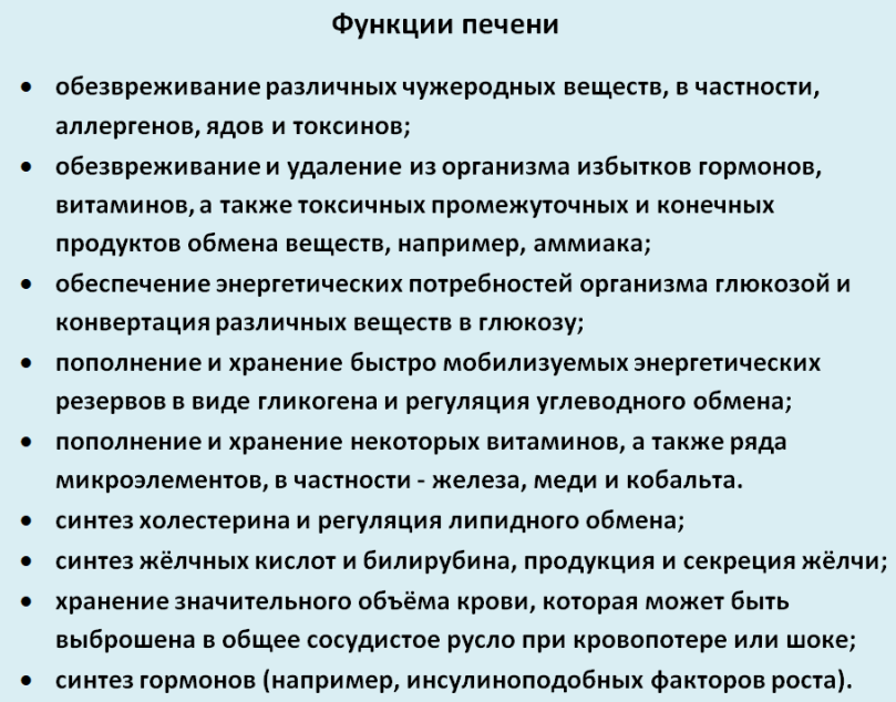 Факты о печени