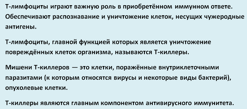 Т-лимфоциты