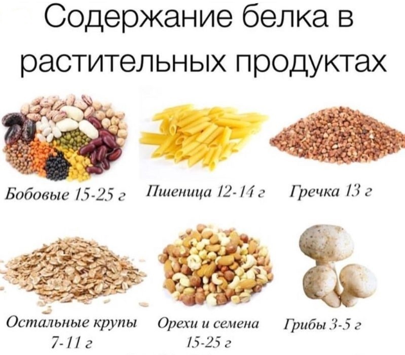 Содержание белка в растительных продуктах.